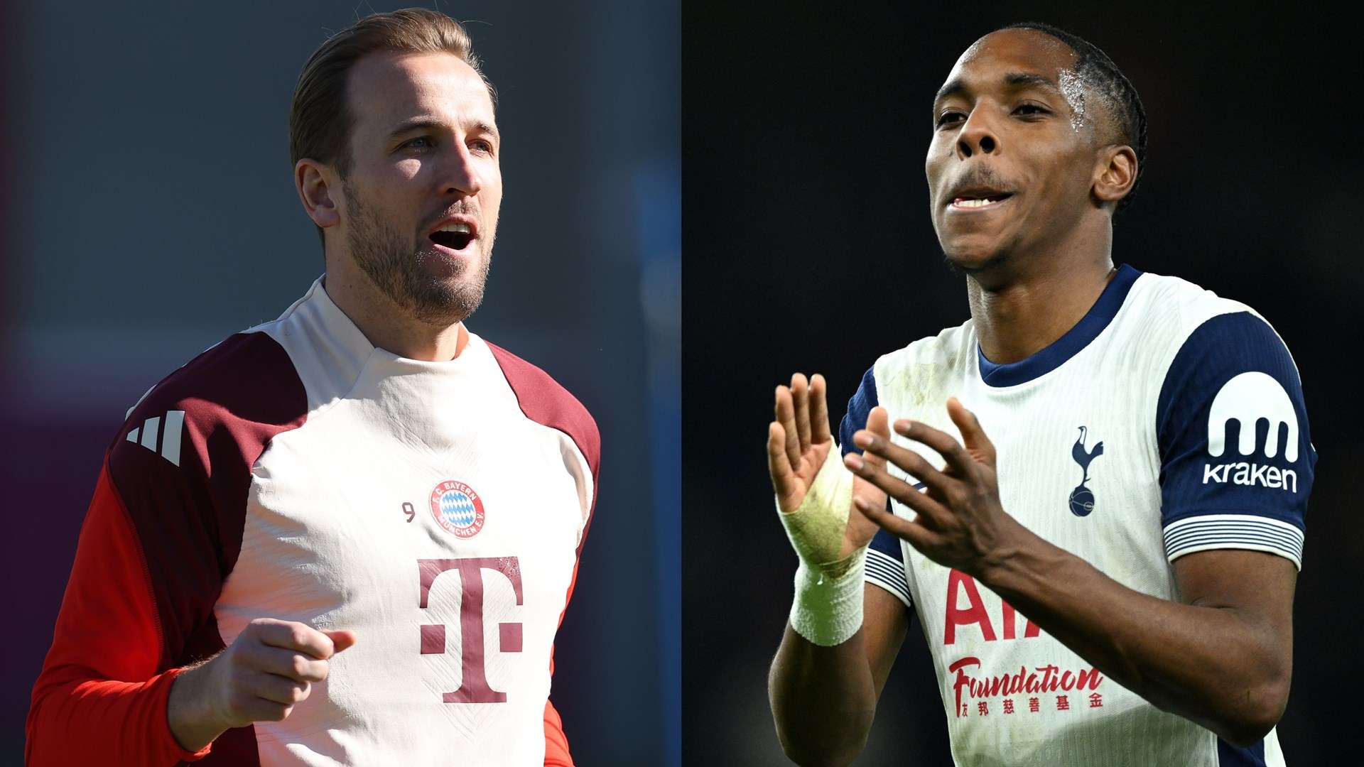 析软件的全 析软件的全