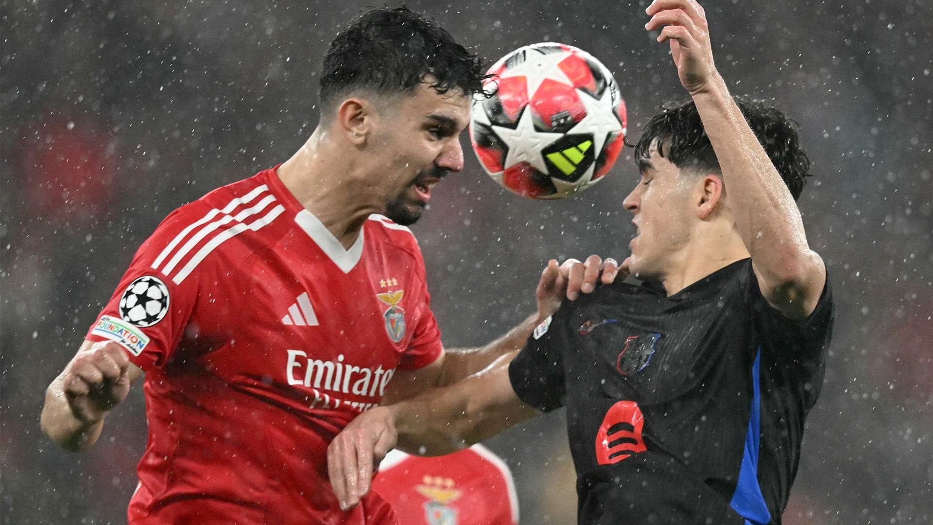 来可能成为 来可能成为