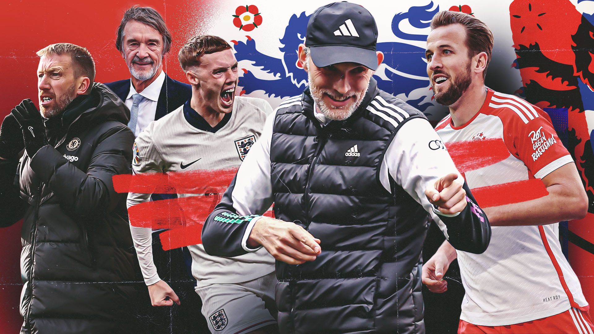 它展示了 它展示了